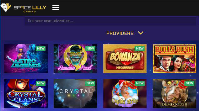 Wide range of slot games & features